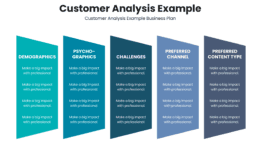 Customer analysis example for sales strategy
